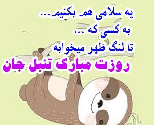 عکس روز جهانی تنبل
