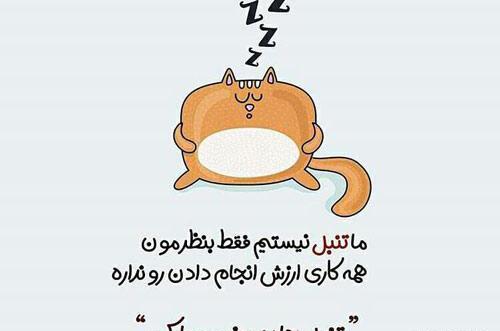 عکس روز جهانی تنبل