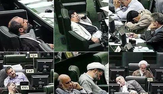 عکس روز جهانی تنبل