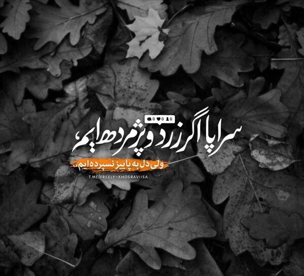 عکس استوری جذاب پاییز