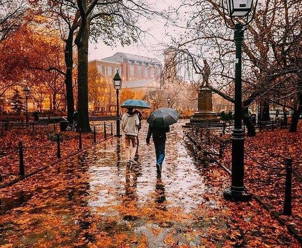 عکس زیبای پاییز با متن
