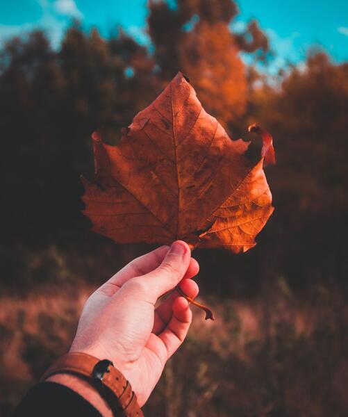 عکس زیبای پاییز با متن