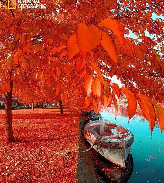 عکس زیبا از پاییزی