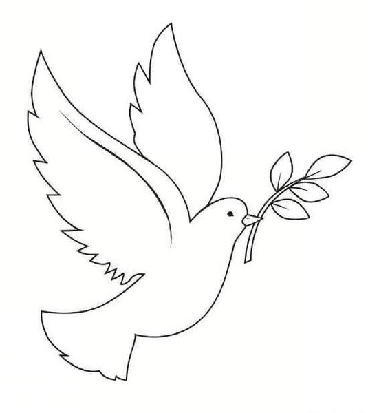 عکس نقاشی ساده و زیبا پرنده