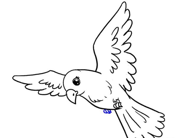 عکس نقاشی ساده و زیبا پرنده