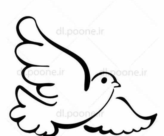 عکس نقاشی ساده و زیبا پرنده