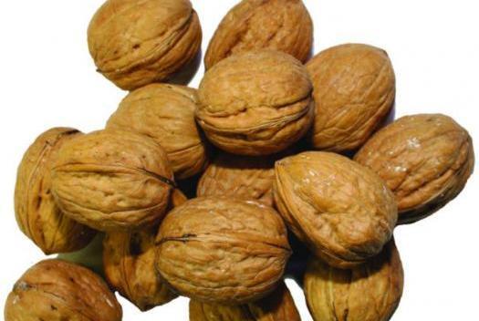 عکس روز همدان