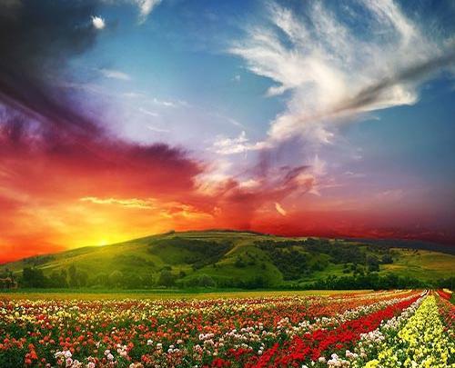 عکس منظره ی پاییزی زیبا