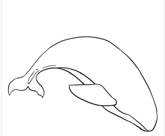 عکس نقاشی وال