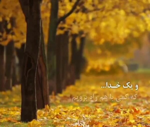 عکس استوری پاییز خدا