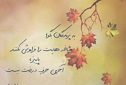 عکس استوری پاییز خدا