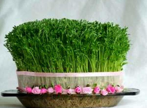عکس سبز هفت سین