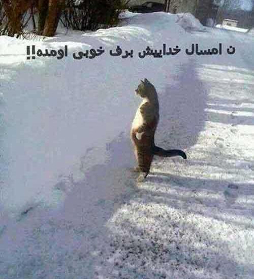 عکس خنده دار خوب