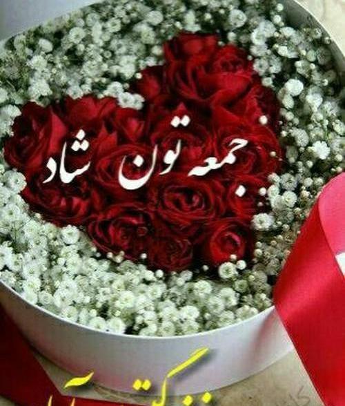 عکس روز جمعه تون بخیر