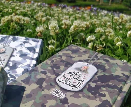 عکس نقاشی شهید ابراهیم هادی