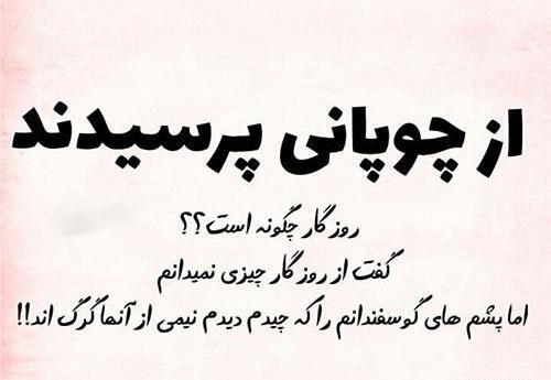 عکس پروفایل پر تیکه