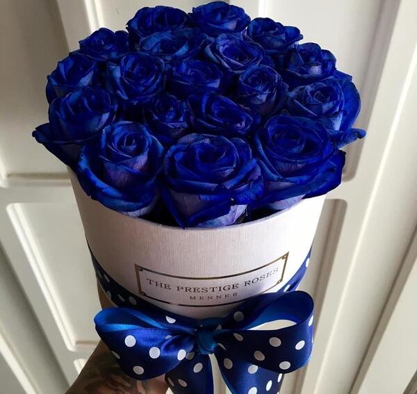 عکس نقاشی زیبا گل رز