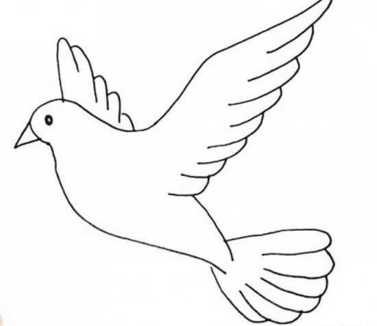 عکس نقاشی زیبا پرنده