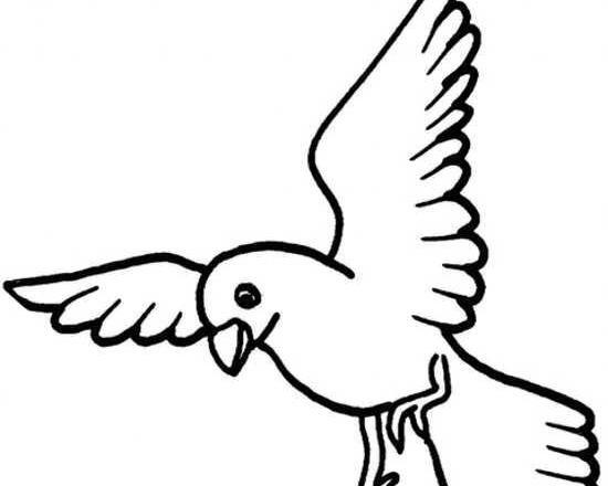 عکس نقاشی زیبا پرنده