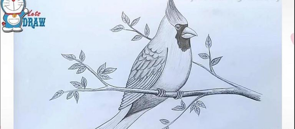 عکس نقاشی زیبا پرنده