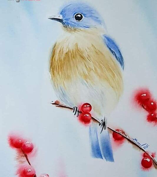 عکس نقاشی زیبا پرنده