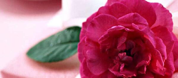 عکس روز پدر برای وضعیت واتساپ از طرف دختر
