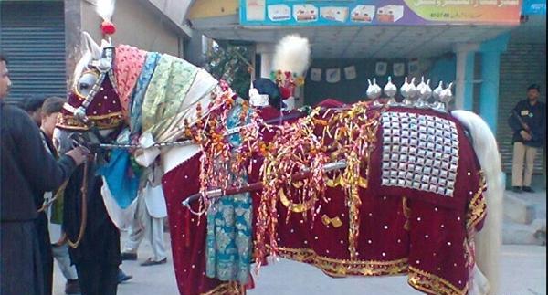 عکس ذوالجناح