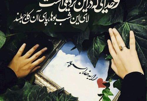 عکس برای پروفایل واتساپ گل خدا