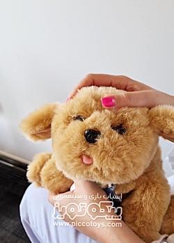 عکس سگ رباتیک پشمالو