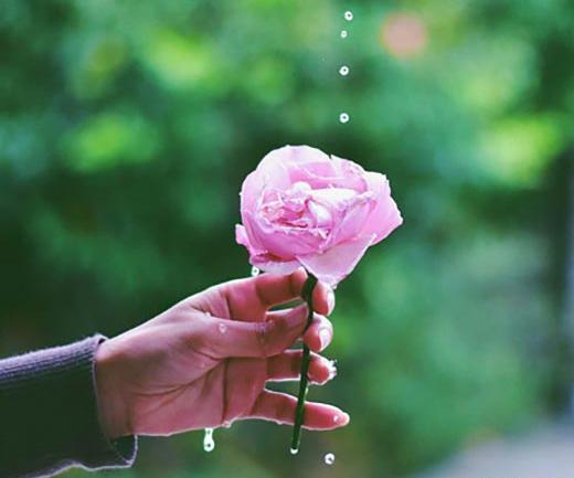 عکس زندگی
