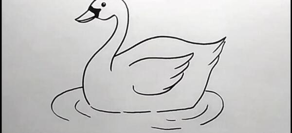 عکس نقاشی ساده قو