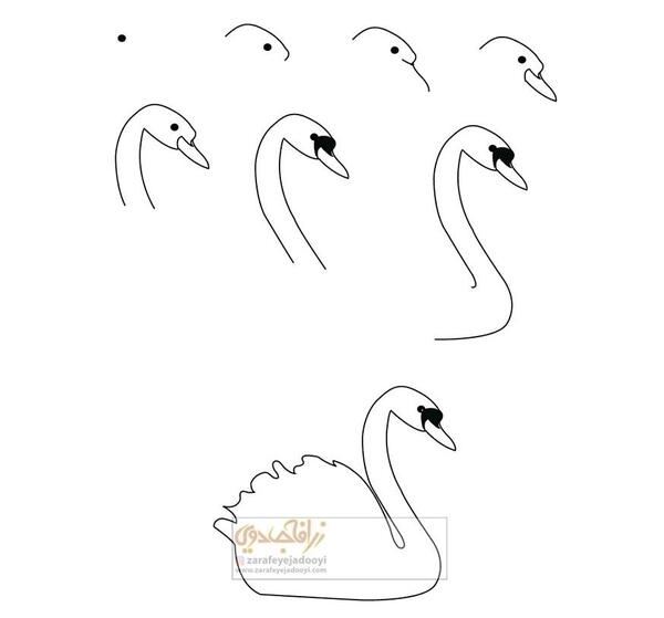 عکس نقاشی ساده قو