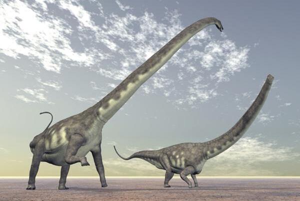 عکس دایناسور قد بلند