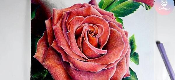 عکس نقاشی زیبا گل با مداد رنگی