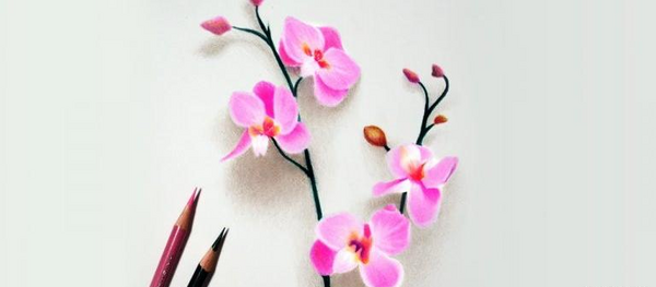عکس نقاشی زیبا گل با مداد رنگی
