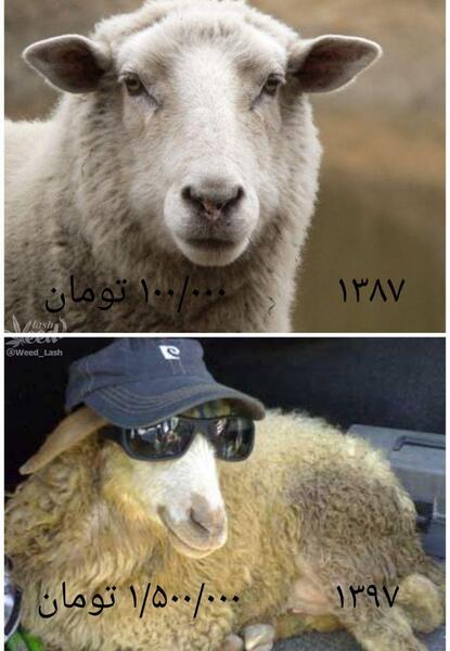 عکس خنده دار چالش غذا