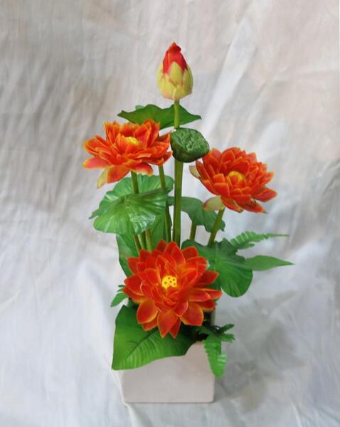 عکس نقاشی گل نیلوفر مرداب