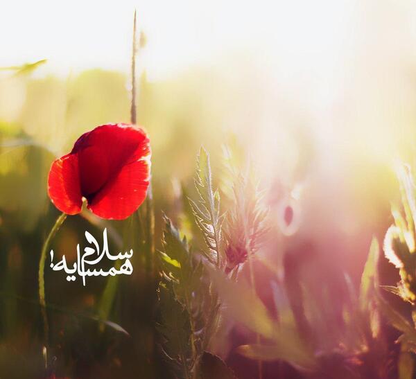 عکس پروفایل همسایه ها