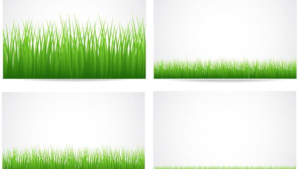 عکس نقاشی چمن ساده