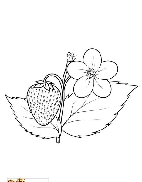 عکس نقاشی ساده طرح