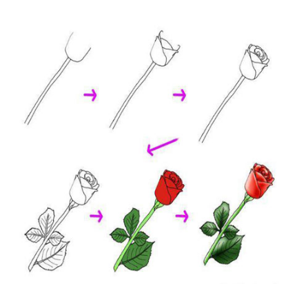 عکس نقاشی گل کیوت