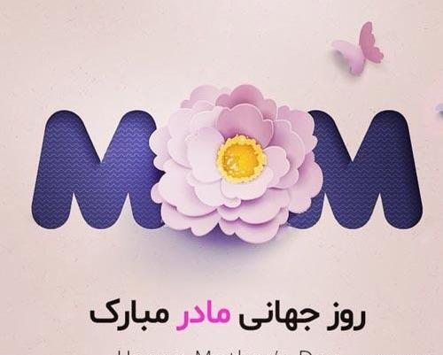عکس روز جهانی شف