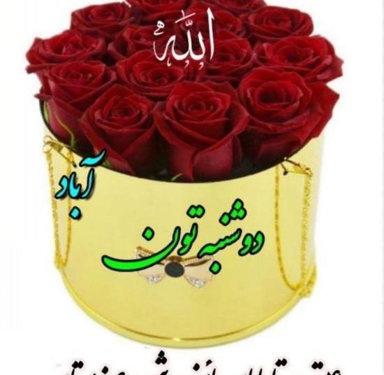 عکس روز دوشنبه