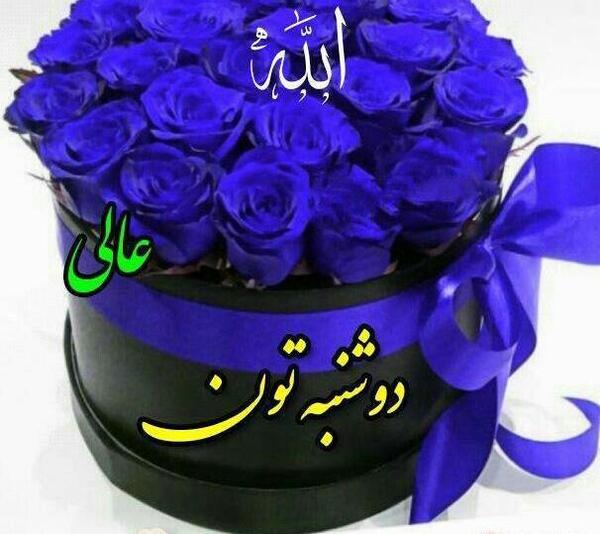 عکس روز دوشنبه