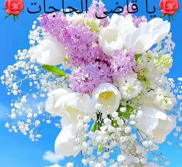 عکس روز دوشنبه