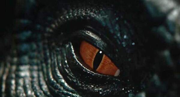 عکس دایناسور رپتور