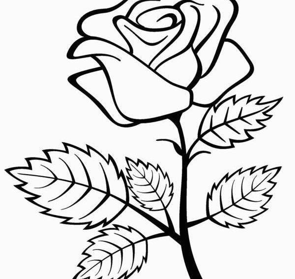 عکس نقاشی گل قشنگ ساده