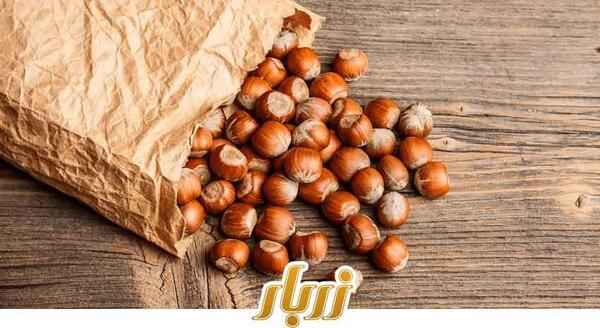 عکس نقاشی زیبا فندق