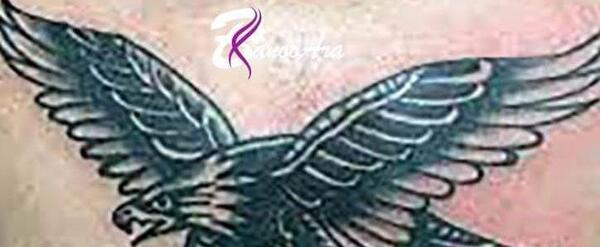 عکس خالکوبی عقاب نشانه