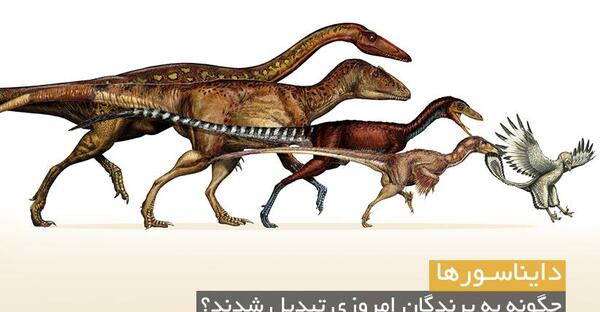 عکس درباره ی دایناسور ها